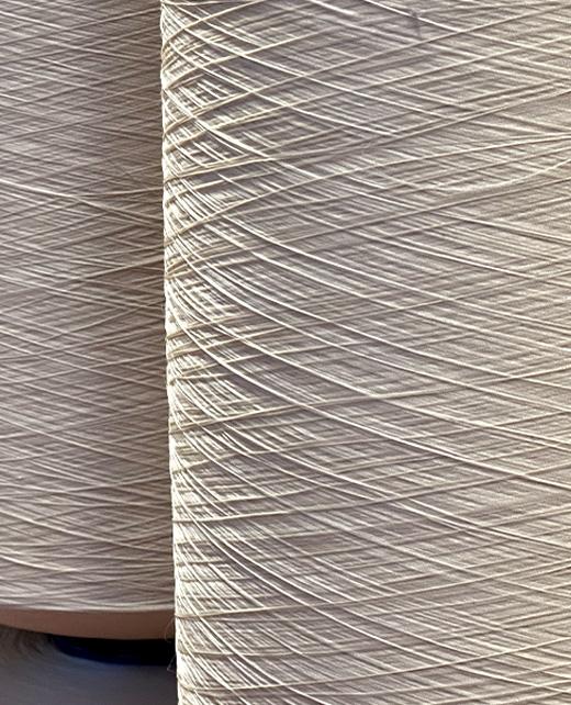 preventivi-foto-principale-ok